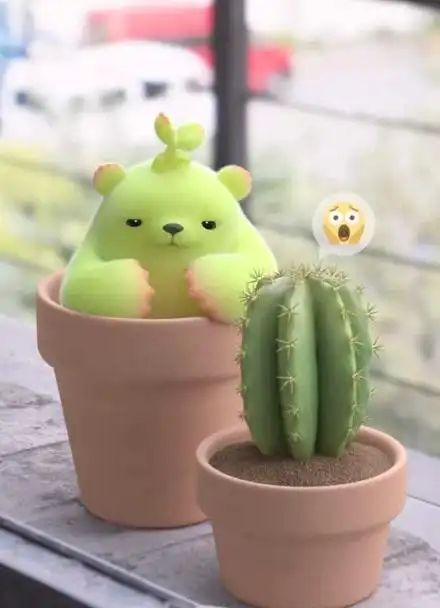 萌芽熊:有的人就像仙人掌,外表带刺,心底有花