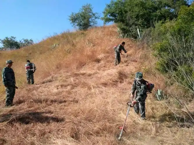 聚焦森防仁和镇林场开设防火隔离带筑牢森林防火屏障