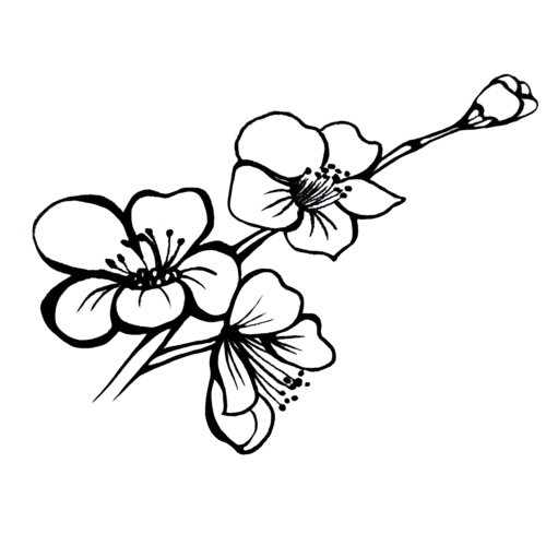 手绘黑白线条花卉素材图片