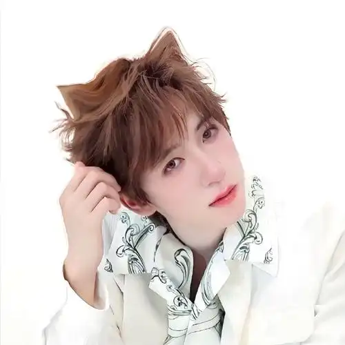 贺峻霖 梦蝶破笼