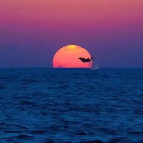 适合男人成熟的头像风景