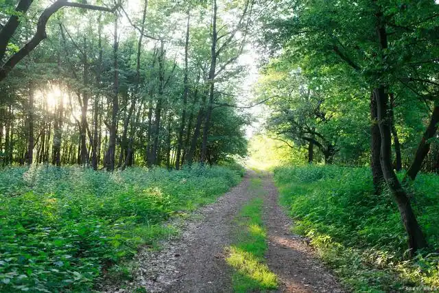 夏天的炎热在七月和八月是最盛的,七月的天蓝的炙热,有时在那纯真的