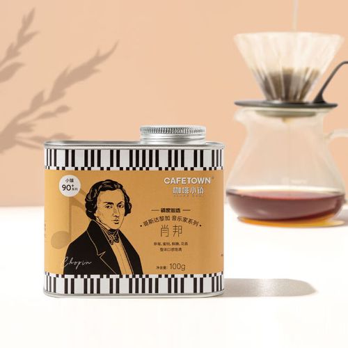 咖啡小镇(cafetown)哥斯达黎加咖啡精品罐装单品咖啡 浅中烘焙 100g