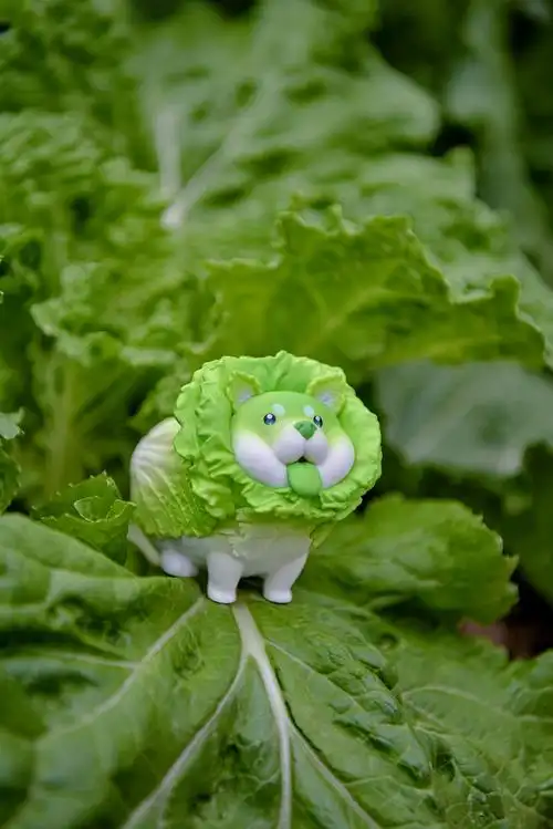 蔬菜精灵|白菜地里长狗狗了