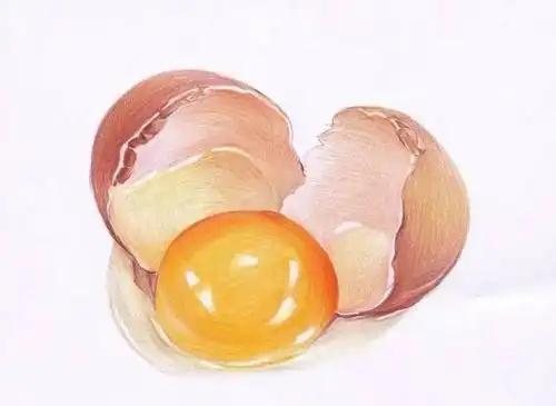 50张彩铅素材非常适合初学者临摹