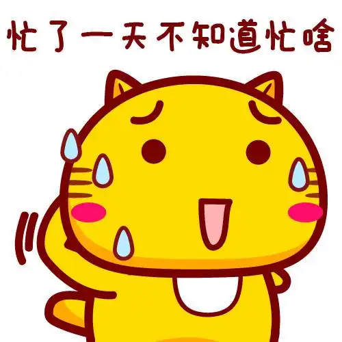 哈咪猫每天都很忙