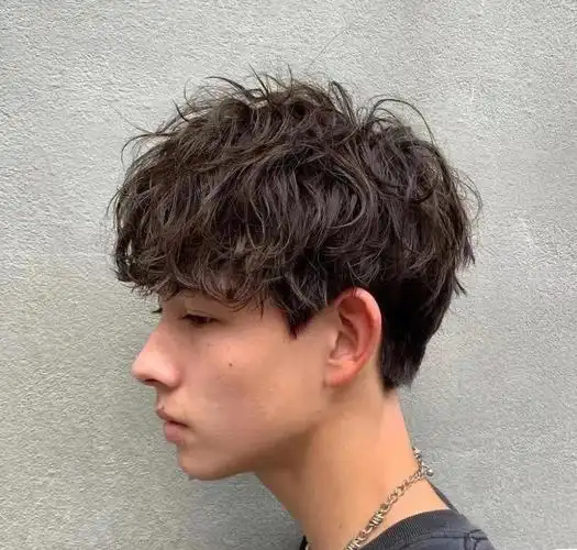 纹理烫男士纹理短发男士短发纹理男生纹理烫发型图男孩纹理烫男发纹理