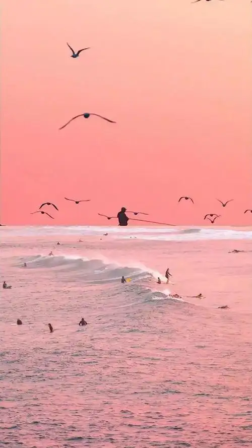 少女心粉色系壁纸2020年最流行的壁纸图片