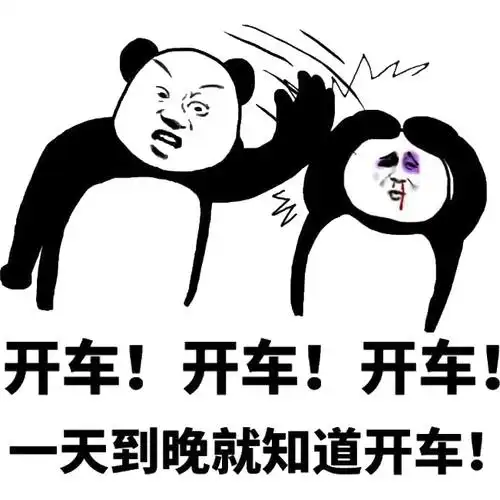 开车!开车!一天到晚就知道开车!