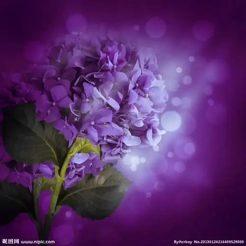 梦幻背景图片专题,梦幻背景下载_昵图网nipic.com