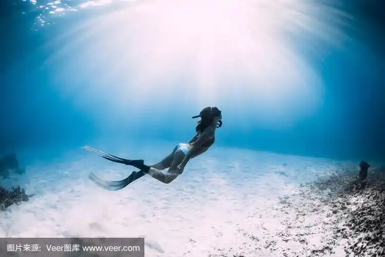 自由潜水妇女与鳍潜水在海洋的沙海.
