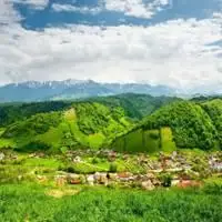 微信绿色背憬图片_微信头像图片大全