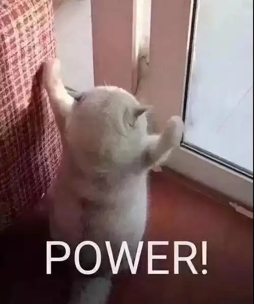 power 力量(猫咪表情包)