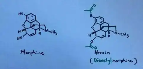 史上最矛盾的科学家:开发出阿司匹林后,他又发明了海洛因|二乙酰吗啡