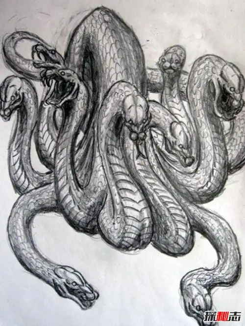 上古凶兽九婴是什么怪物?有九头叫声如婴儿啼哭