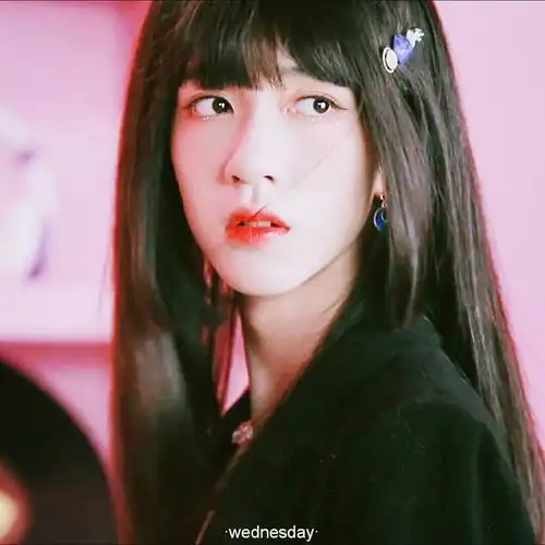 贺峻霖头像星期三