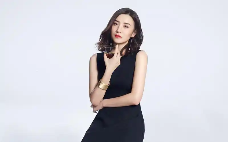 美女明星宋佳图片壁纸