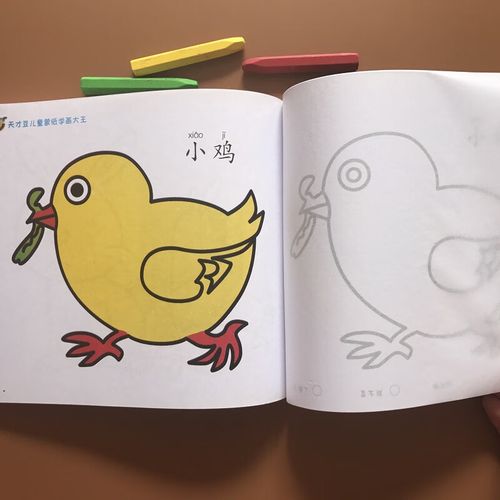 涂色本蒙纸简笔画绘画本3-6-9岁宝宝涂鸦填色册0-3岁入门零基础学画画