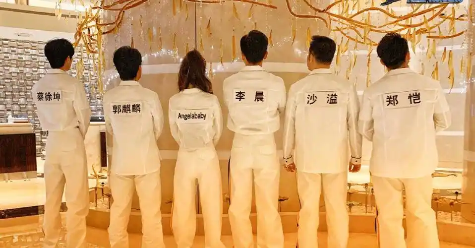 蔡徐坤_网友_节目