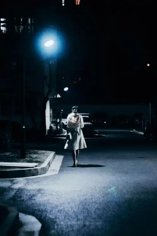 安静的路灯下的美丽背影, 不禁.