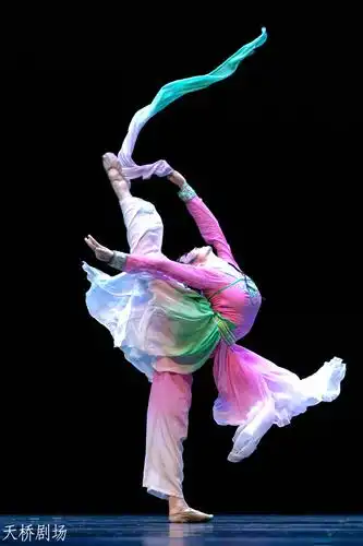 舞蹈大赛进行时专业少年组青年组剧照赏析附观演舞迷名单