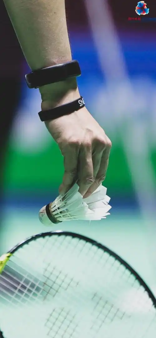 现场 i 2024法国羽毛球公开赛第一,二比赛日精彩图集