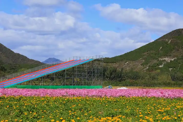 秋游怀柔圣泉山千亩花海留影