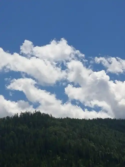 蓝蓝的天上飘着雪白的云朵!