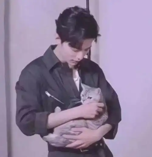 王一博和肖战抱猫的曲别