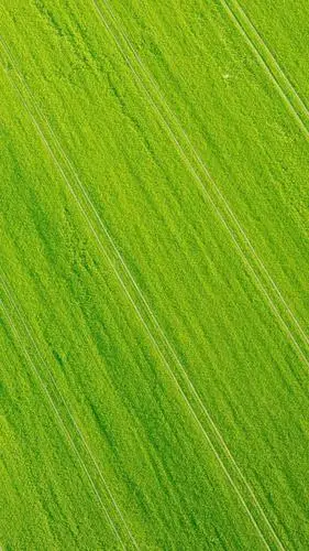 32张非常漂亮的微信7.0聊天背景图片大全 绿色护眼也适合做壁纸!