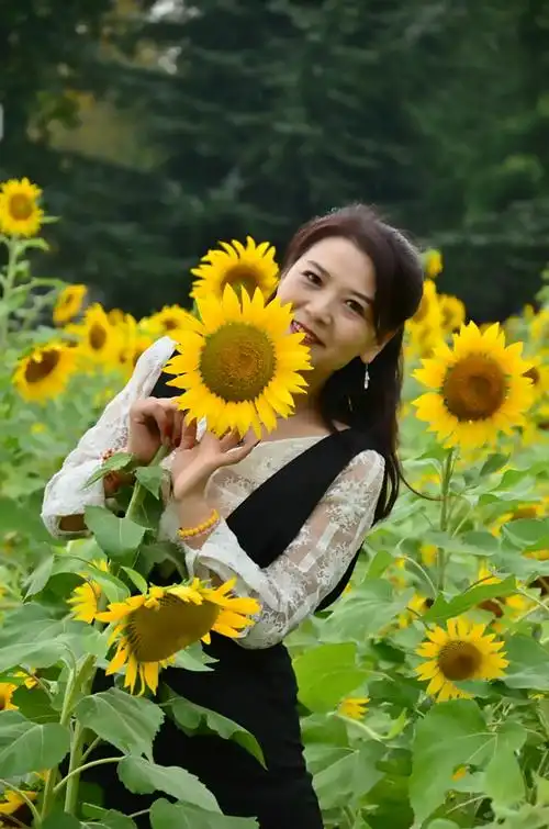 微笑拥抱每一天,做像向日葵般温暖的女子.