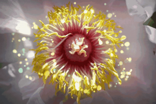 背景音乐:祁隆,任妙音 - 又在梦里见到你.