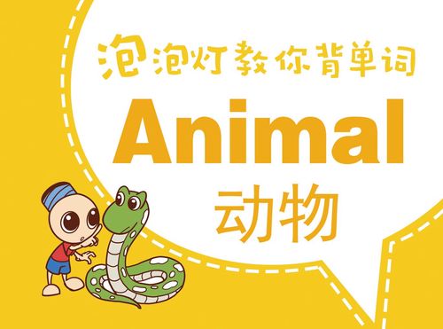 动物类少儿童英语单词汇卡片宝宝小学初中青少年彩色卡通早教卡