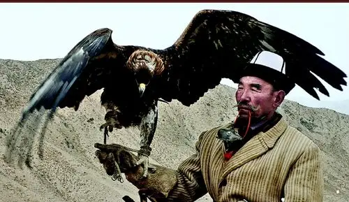 柯尔克孜人驯养猎鹰的传统:让猎鹰自由