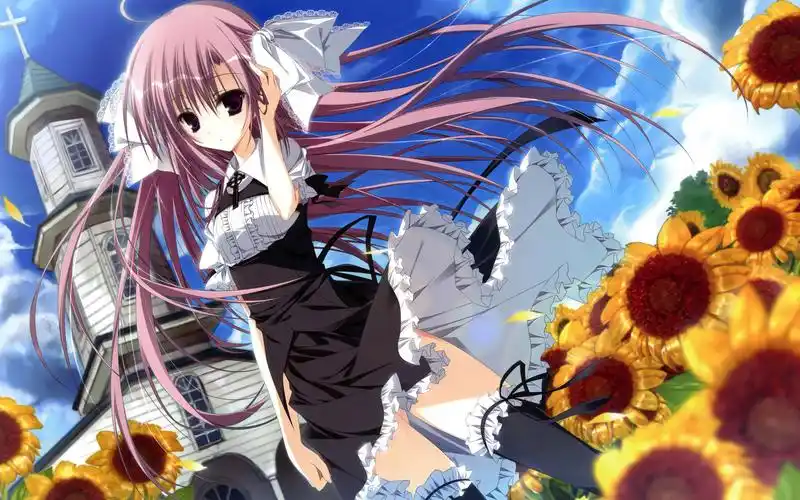 向日葵教会和漫长的暑假电脑壁纸分享!-猴子技术宅