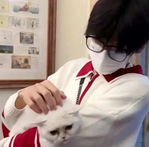 翟潇闻壁纸头像