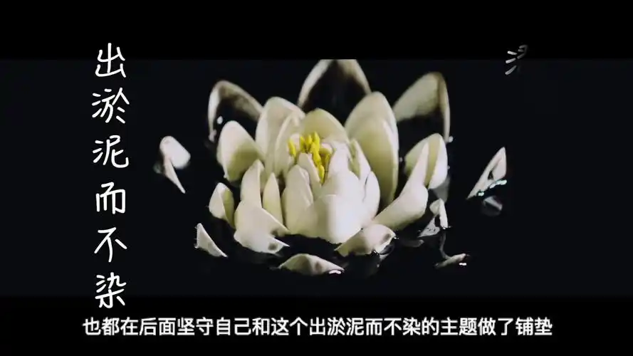 张艺兴《莲》mv赏析!