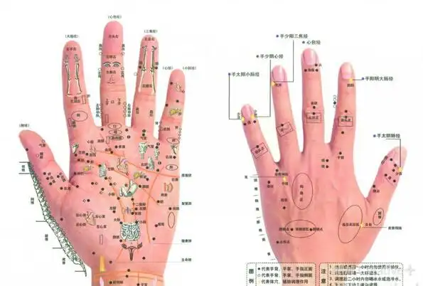 关爱,从手开始——握握wowo智能手掌按摩仪体验测评