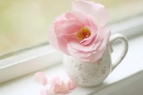 唯美意境梦幻可爱花朵精选图片