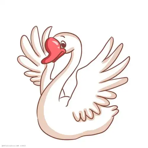 白色的天鹅手绘插画