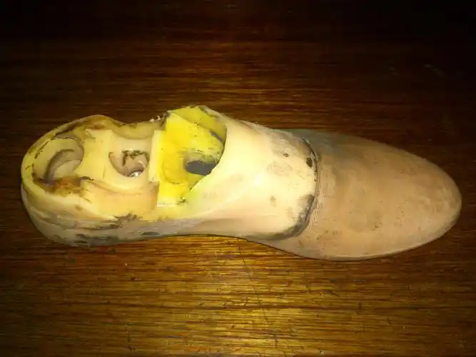 哪里有这种假肢脚板(学行脚板)卖?