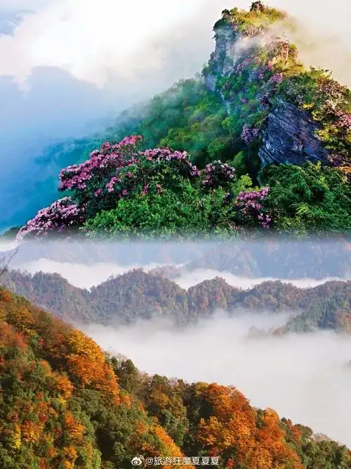 690_920竖版 竖屏