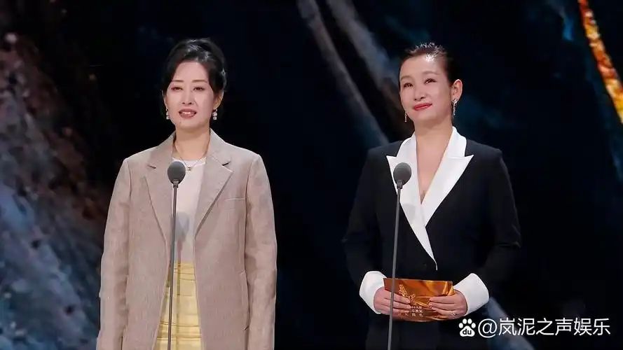 刘敏涛与秦海璐同台竞艳,华表奖背后的市场趋势与女性力量崛起 早前