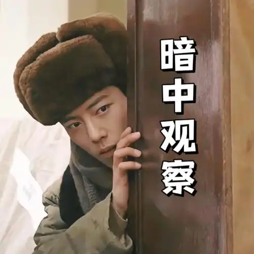 控制不住做表情包肖春生表情包合集讨人嫌的阿婆#肖战肖春生#xz#肖战