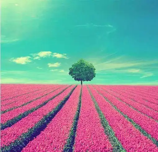 好心情,就有好运气.心态决定一切.