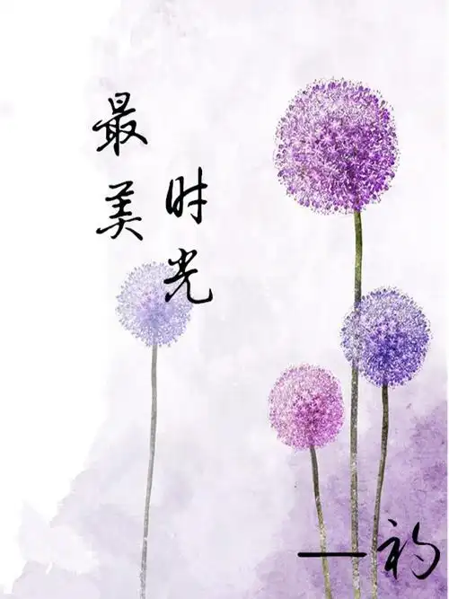 哪位大神可以帮我做一张600×800素像的小说封面图,书名:最美时光