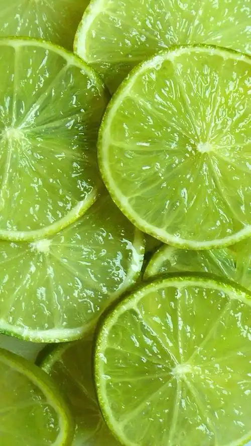 67唯美创意绿色,高清图片,手机锁屏桌面-壁纸族