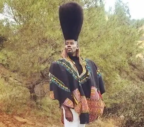 世界上最大的"扫把头发型",获吉尼斯认证,林青霞曾经拥有_本尼·哈莱