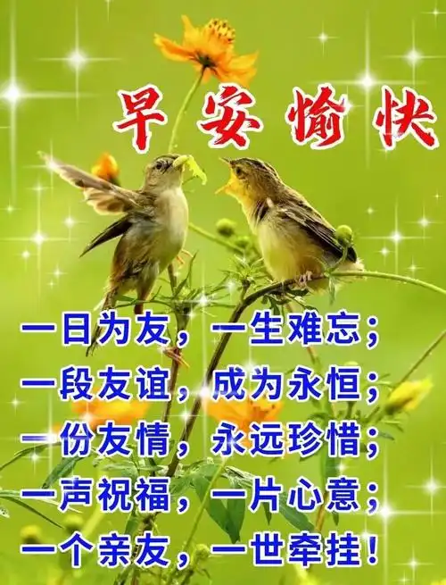 最新早上好暖心祝福语短信微信早安温馨的问候图片