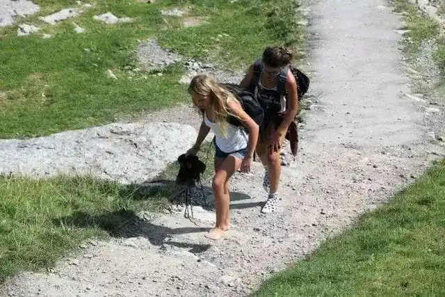 aj脏了就丢了吧研究表明赤脚走路可能更有利健康